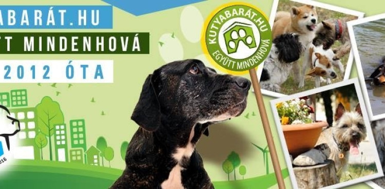 Utazás kutyával - avagy mire ügyeljünk, ha együtt nyaralunk, pihenünk vagy étterembe megyünk kutyánkkal?