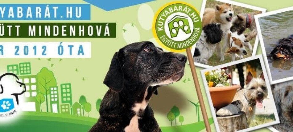 Utazás kutyával - avagy mire ügyeljünk, ha együtt nyaralunk, pihenünk vagy étterembe megyünk kutyánkkal?